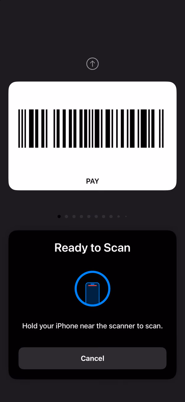 Checkout mode: the barcode fills the screen